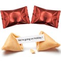 We're going on Holiday! Surprise Reveal Fortune Cookies - 2 Pack